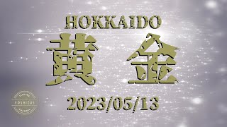 20230513　北海道　黄金陸っぱり　釣り　5時間で16枚　石鰈（イシガレイ　通称イシモチ）