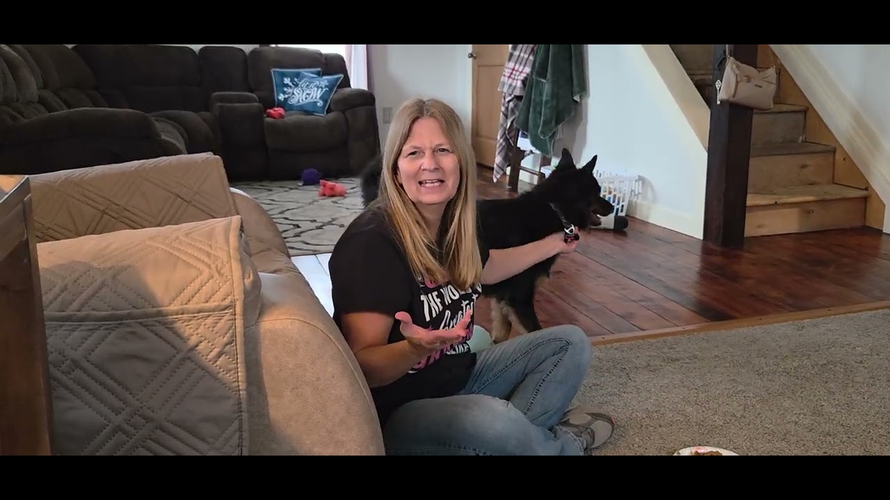 Сегодня Дино исполняется один год.