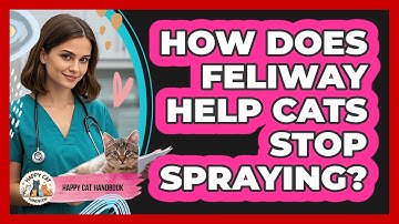 How Does Feliway Help Cats Stop Spraying? - Happy Cat Handbook