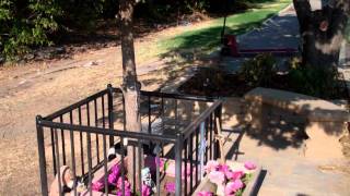 Amber Hagerman Memorial | Arlington, Texas