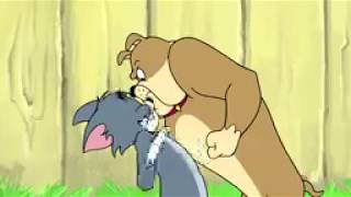 Tom & Jerry Cat-Astrophe In The Kitchen