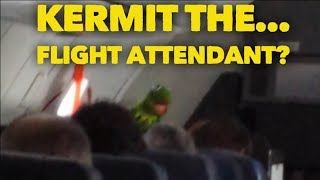 Celebrity Kermit the Frog Southwest Net Worth