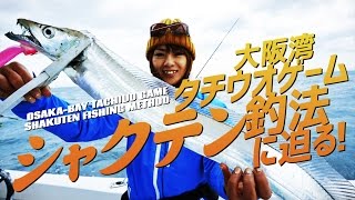 大阪湾タチウオゲーム「シャクテン釣法」に迫る！