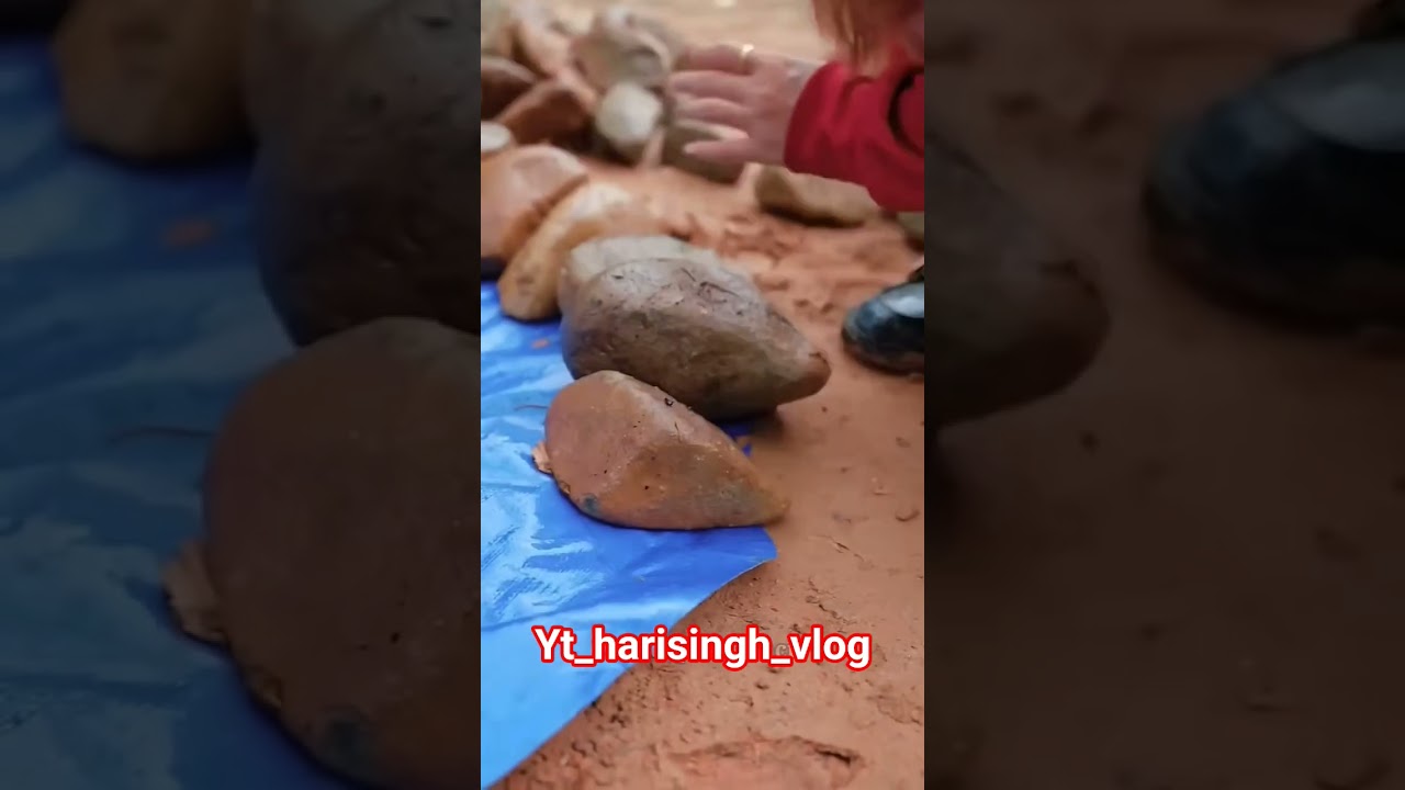 देखलो आज कल की दुनिया 🥺। जानवरों तक को नहीं छोड़ा#funny #entertainment #comedy #short feed