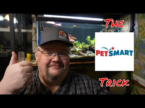 The PetSmart Trick - How to save a LOT of money buying through PetSmart