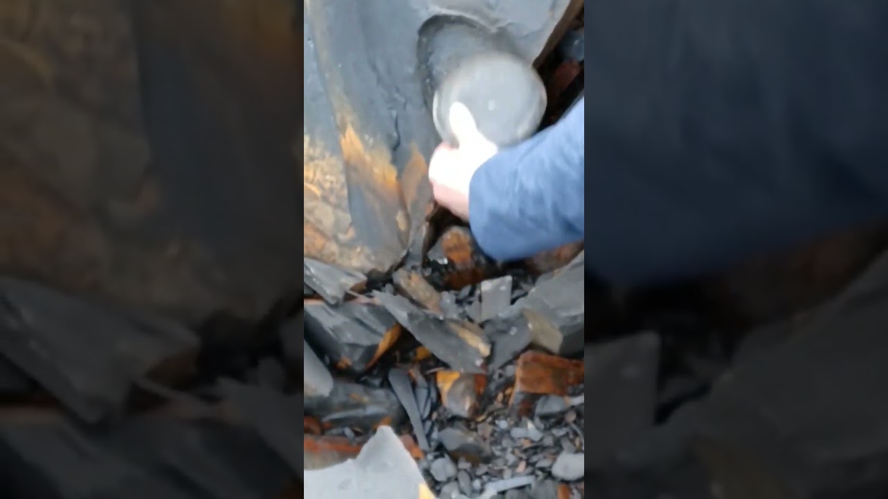 Nodule chiselled out of shale slab! 