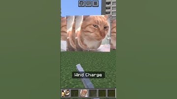Mr. Fresh Cat Custom Nexbots Mod In MCBE #minecraft #minecraftshorts #nextbotchase #minecraftmemes