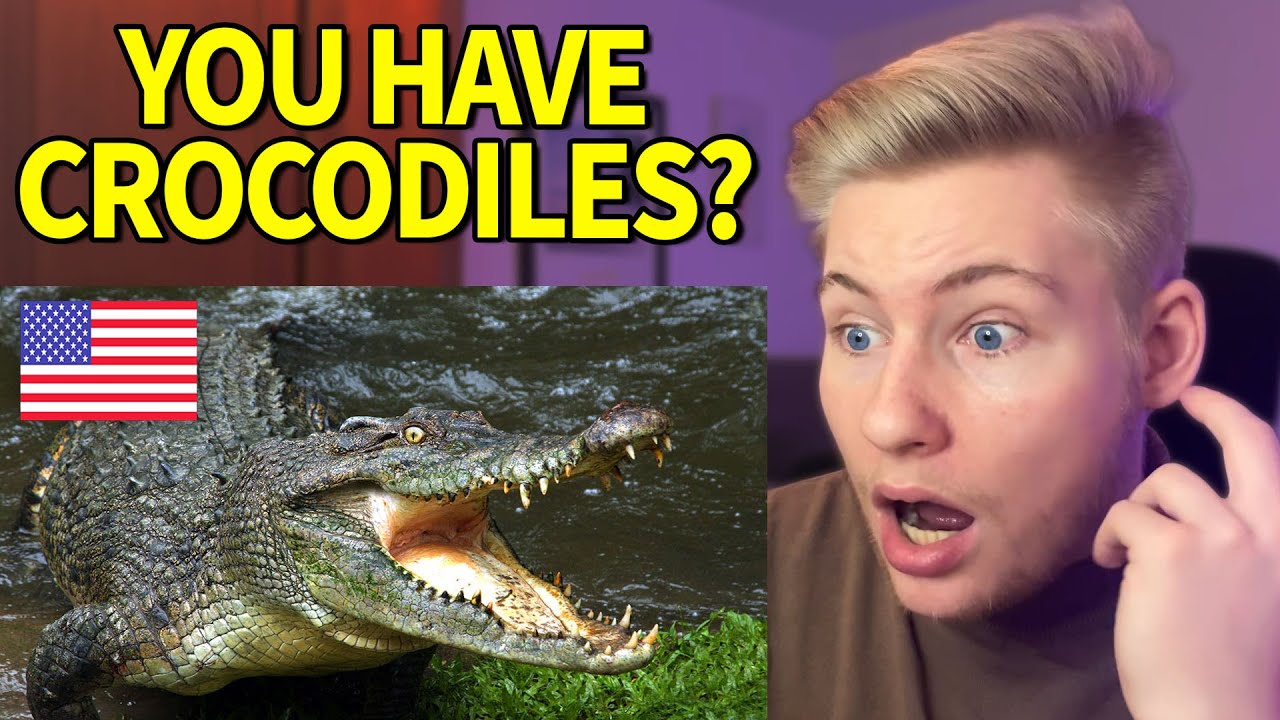 German reacts to the Top 10 Most Dangerous Animals in America