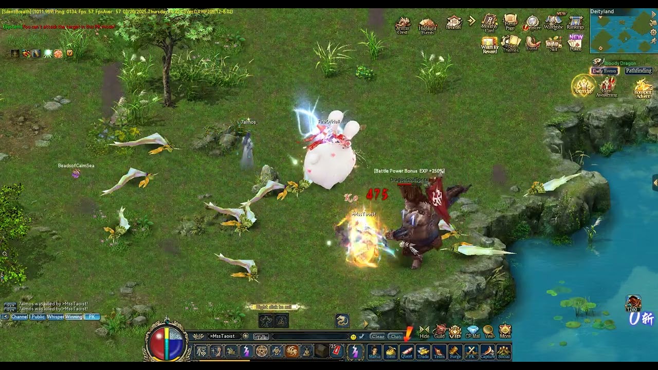 Conquer 3.0 serve Silent Breath player  MssTaoist use bot auto hunt