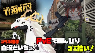 【EFT】PvEエリアでお散歩コラボ！【ケモV】