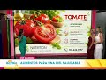 Alimentos para mantener una piel saludable en el verano