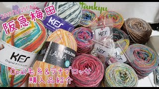 【阪急梅田】2回目行ってきました & レア毛糸get 【2019/5/25(土)】