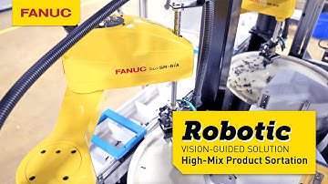 Robotic Vision-Guided, High-Mix Product Sortation