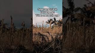 #dj #djapinremix #djmawarung #storywa