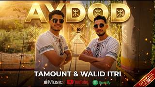 TAMOUNT -- WaLiD iTRi  AYDOD  