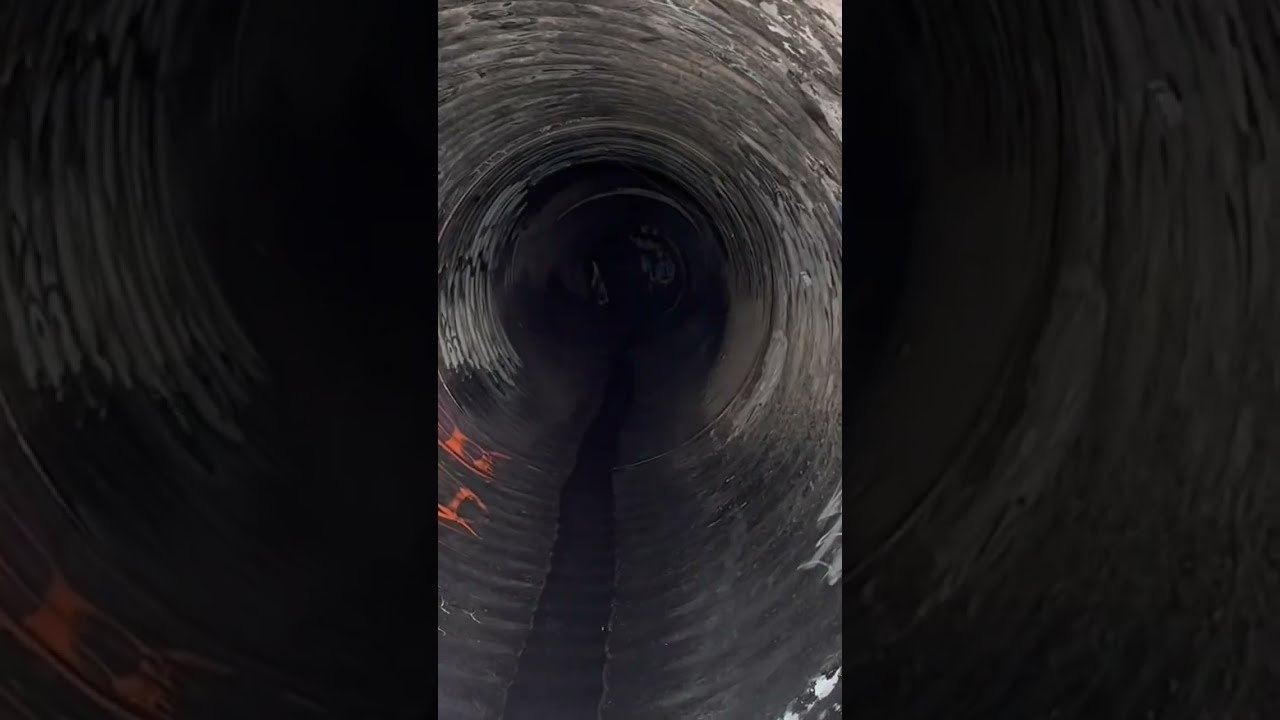 Pennywise Clown Laughter Laugh