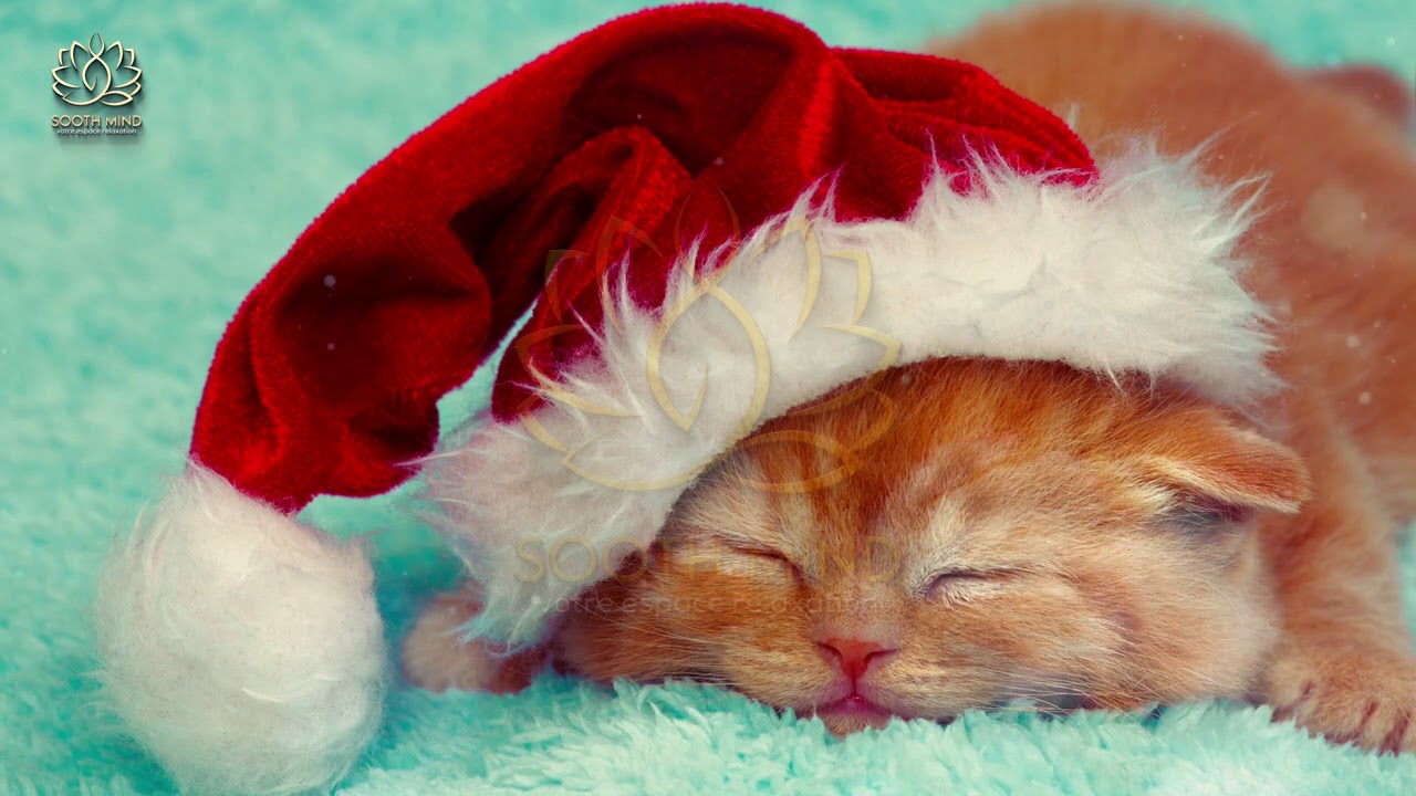 🎵😍 Berceuse de bebe pour endormir le soir, veilleuse, bruit blanc  ☯020