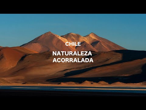 Chile: Naturaleza Acorralada