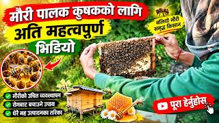 bishnu mauri thatha krishi form mauri ko lagi Jankari mulak video@syklung vlogs