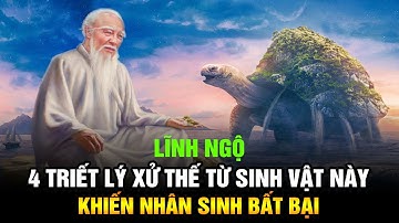 Lĩnh ngộ 4 Triết lý xử thế từ loài vật này khiến Nhân sinh trở nên bất bại