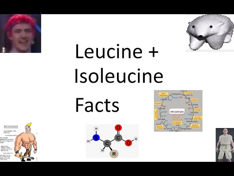 Vidéo: Différence Entre La Leucine Et L'isoleucine