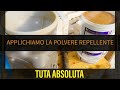 Finalmente applichiamo la polvere repellente contro la Tuta Absoluta