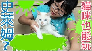 Download lagu APP 貓咪也能玩史萊姆 用平板做雪卷花卷史萊姆 NyoNyoTV妞妞TV玩具 APP 貓咪也能玩史萊姆 用平板做雪卷花卷史萊姆 NyoNyoTV妞妞TV玩具