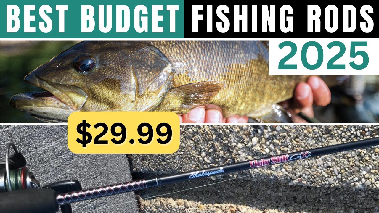 5 Best Budget Fishing Rods Under $50 for 2025 | Review - YouTube