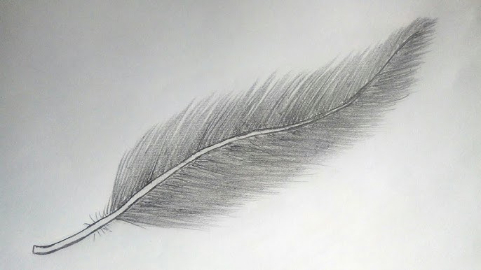 Hey guys, Here's a quick reel of how I draw my sparkly feathers. I us