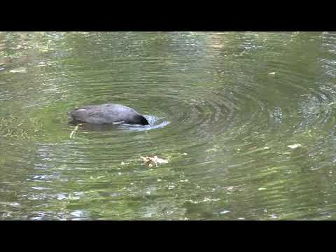 Park   Ter Hooge in Middelburg