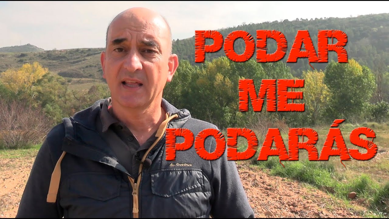Podar me podarás