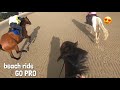 my FIRST time riding on the beach!😱 | galloping | GO PRO | equinemollie