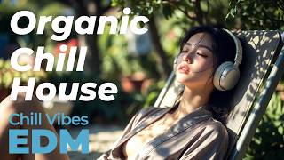 [2026 EDM Playlist] Nature Chill EDM Vol.1 - Organic Forest & Calm Focus Mix screenshot 1