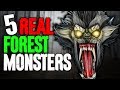 5 REAL Monsters in the Forest! - Darkness Prevails