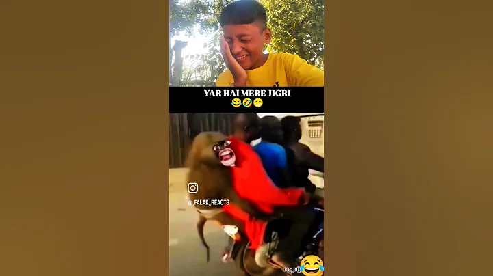 jigri yar hai mere 😂😱 #funny #comedy #viral #trending #monkey #bike #friends #Blackhorse