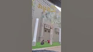 Watu dinyanyika Riksa #lagujawa #lagubaru #utamaraya #suksesselalu #bismillah 