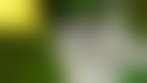 Redcat Kaiju Like & subscribe