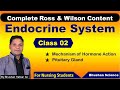 PART 2 : Endocrine System | Nursing Online Classes | ROSS & WILSON Anatomy & Physiology