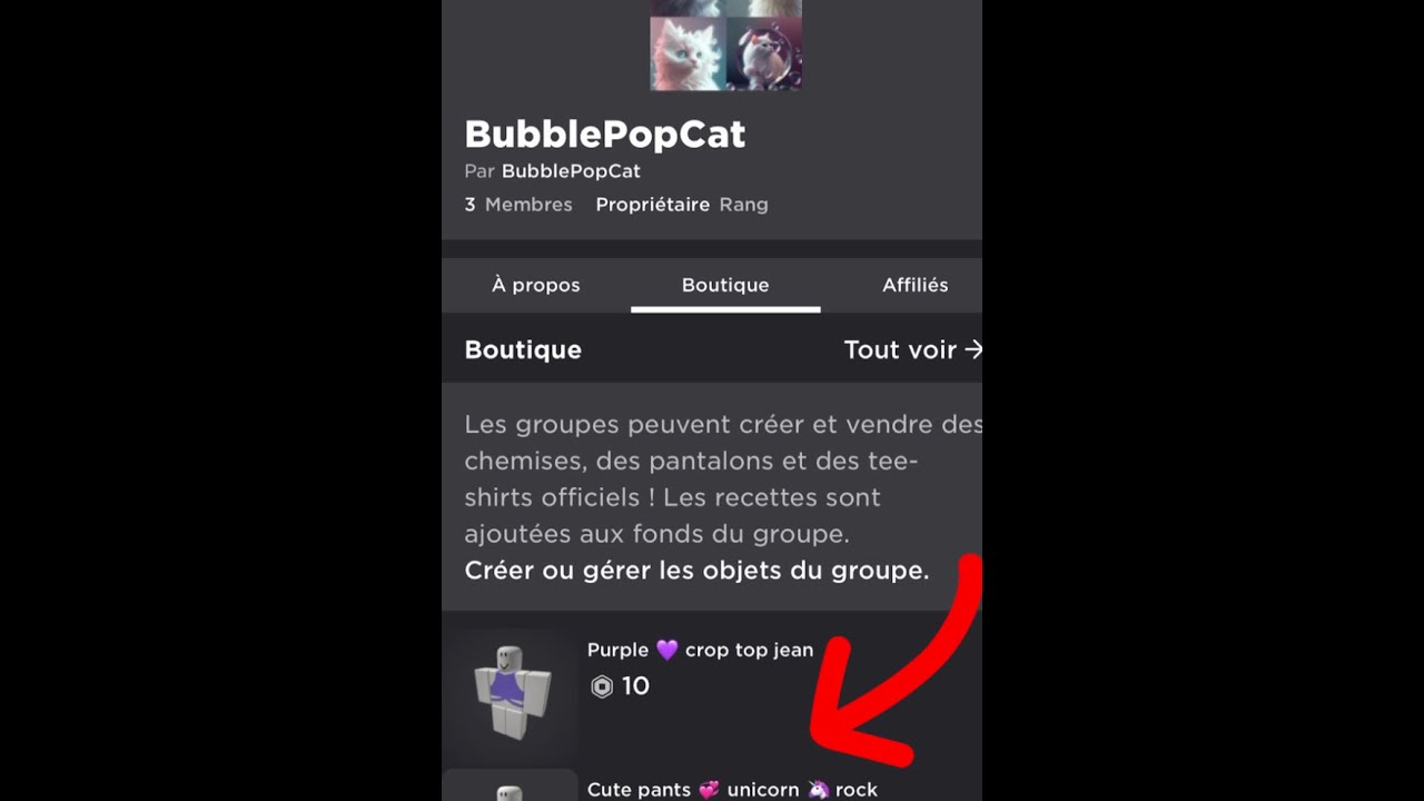 Ajouter et mettre à jour des informations de paiemt - Support Roblox