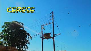 Mvex-Kerese Official Music Video