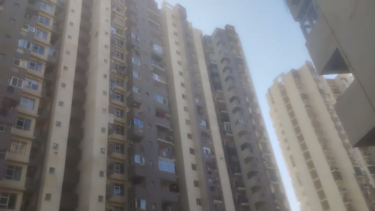 Paramount FLORAVILLE blog