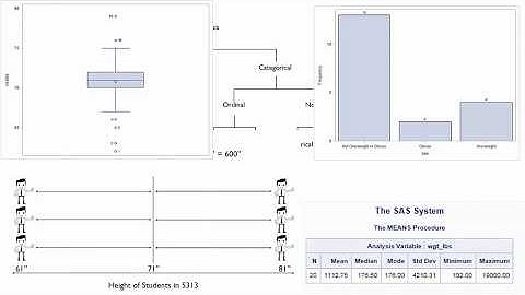 Descriptive Analysis Overview