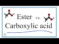 Ester and Carboxylic Acid Characteristics