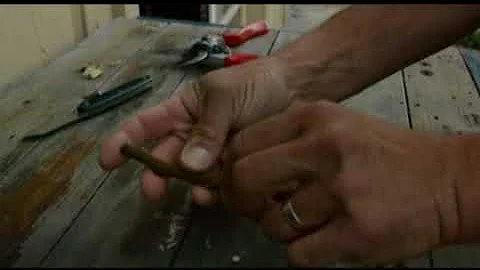 Whip and Tongue Grafting Demonstration