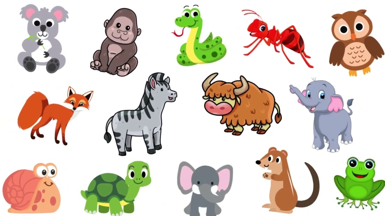 Jungle Adventure Song for Kids | Animal Song | Sing Along Fun!