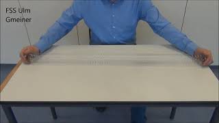 Längswellen An Einer Feder Longitudinale Wellen