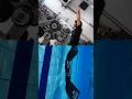 A day in the life of a champion 💪🏻 #freediving #underwater #champion #athlete