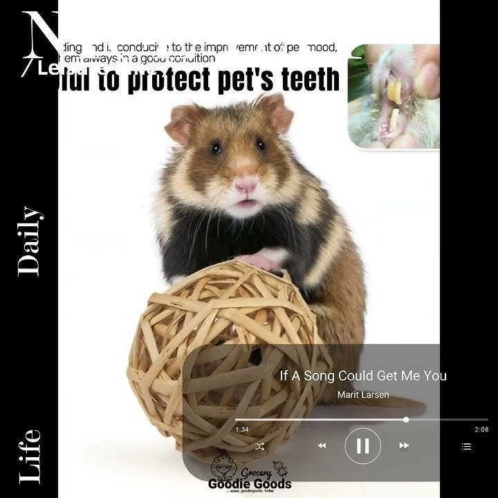 Small Animal Chew Ball Toy Rolling Activity Play Balls Bunny Treat Ball Grass Ball Pet Cage