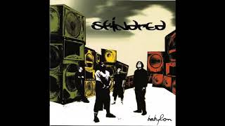 Skindred _ Nobody