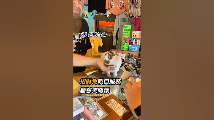 【招財兔兔】招財兔親自服務  顧客笑開懷｜兔子｜寵物｜動物｜可愛 - 天天要聞
